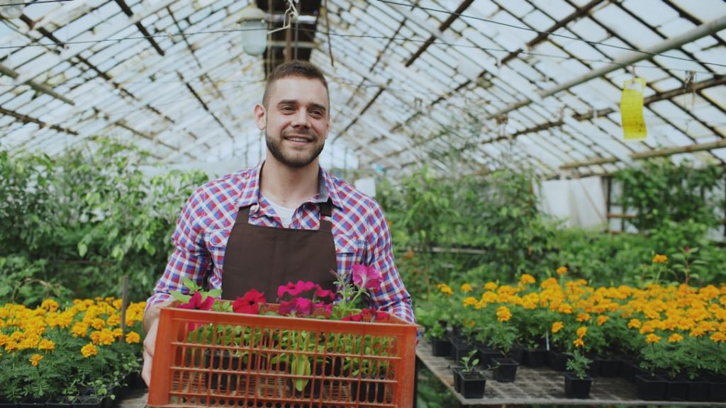 pflegehinweise für petunien: tipps zur bewässerung, düngung und standortwahl für gesunde und blühfreudige petunien.