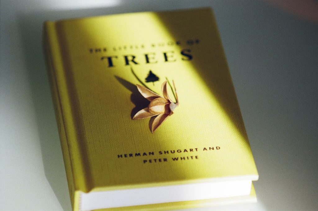 erfahren sie alles über thripse: erkennung, bekämpfung und prävention von thripsbefall im garten und haushalt.